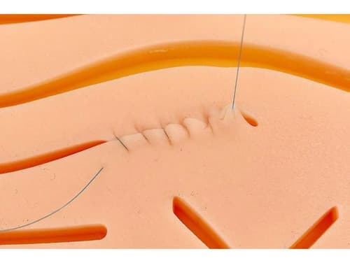 Pele Simulador De Sutura Silicone 3 Camadas Pele De Sutura Almofada Para Treinamento Cirúrgica De Operação De Feridas Pogala - 7