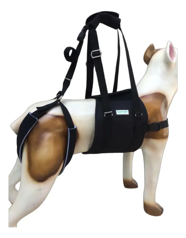 Suporte Para Cães Com  Necessidades Especiais - 1