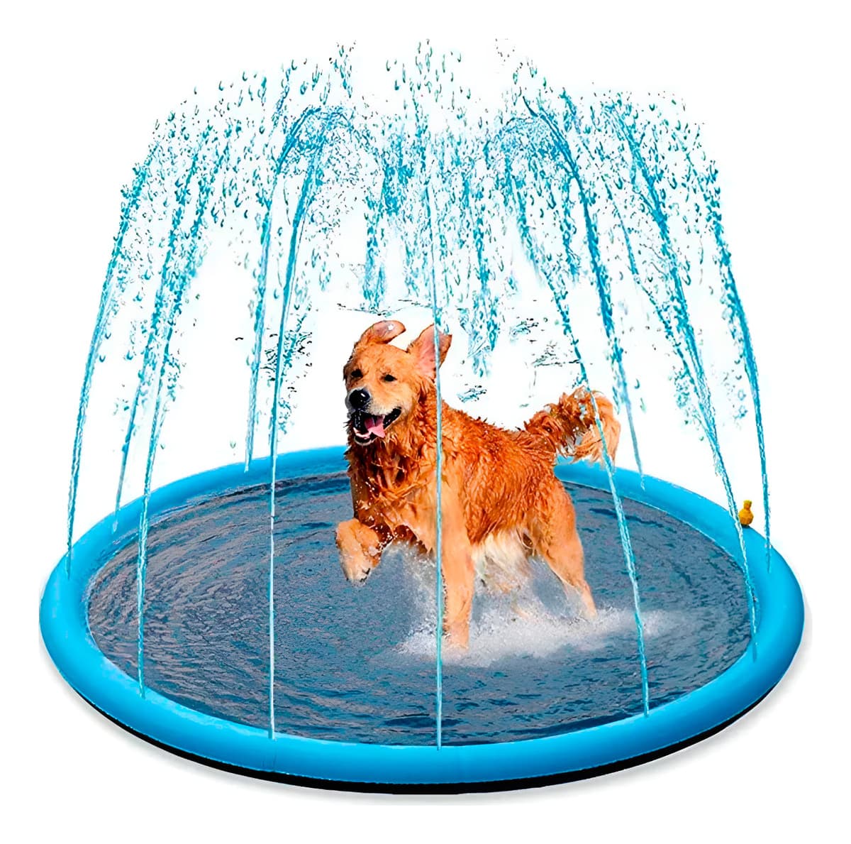 Tapete Piscina Chafariz Splash Espirra Água Pet Crianças - 1