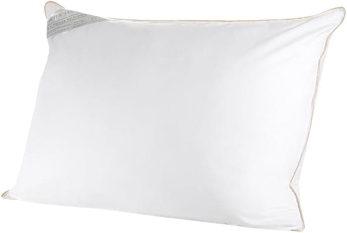 Buddemeyer Travesseiro 50x90cm Toque de Pluma Algodão Branco - 1