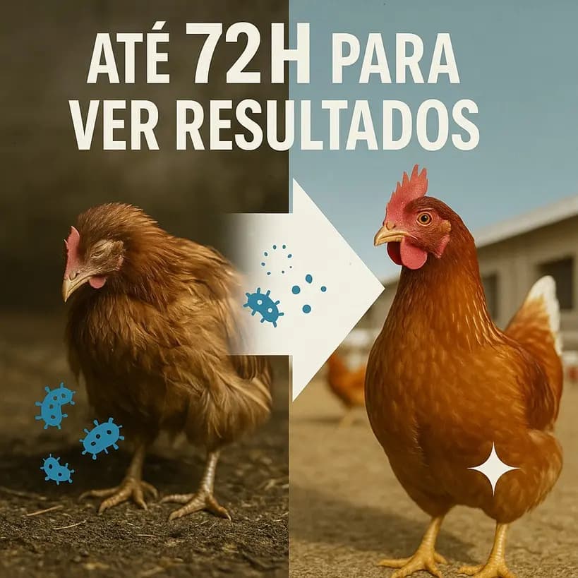 Sulfamicina Ibasa 1 Litro Aves, Coriza, Gogo Cocidiose - 6