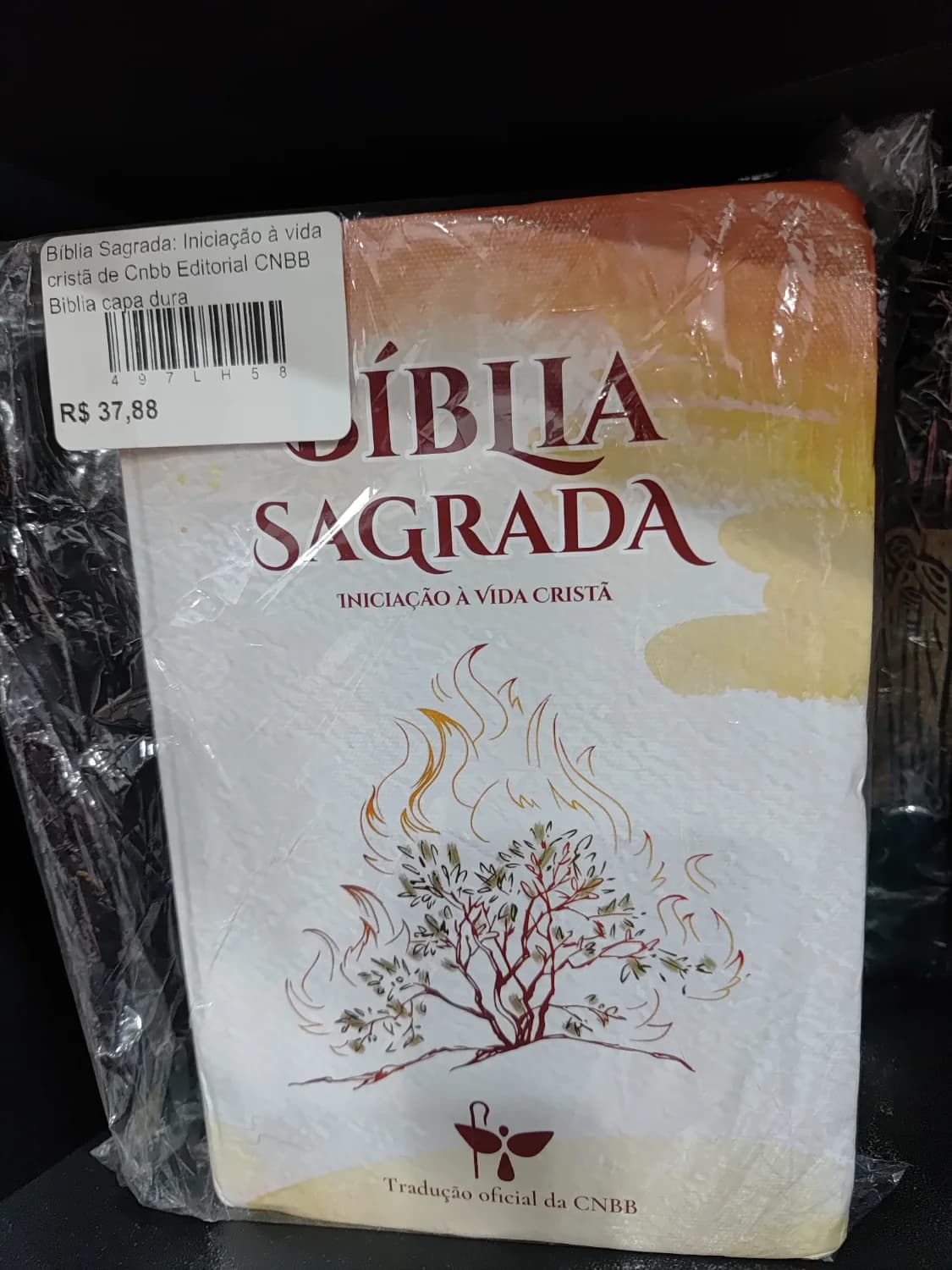 Bíblia Sagrada: Iniciação à vida cristã de Cnbb Editorial CNBB Biblia capa dura - 1