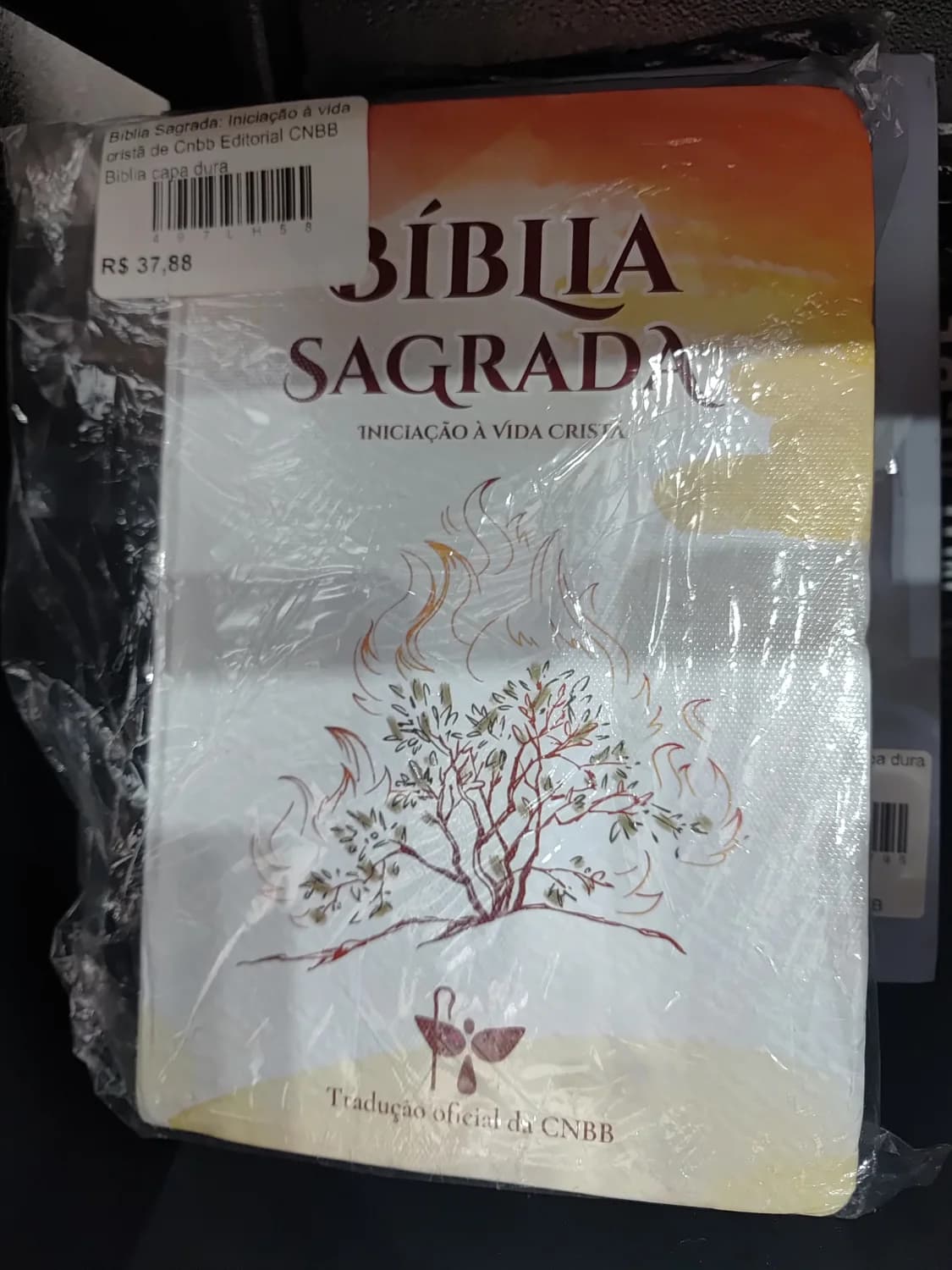 Bíblia Sagrada: Iniciação à vida cristã de Cnbb Editorial CNBB Biblia capa dura - 1