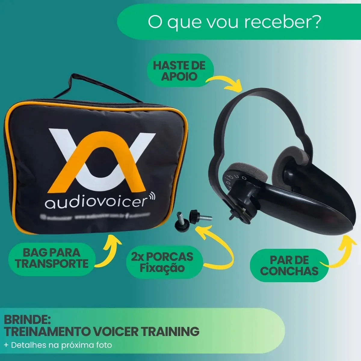 AUDIOVOICER, MONITOR VOCAL, RETORNO AUDITIVO - MODELO MID - 1